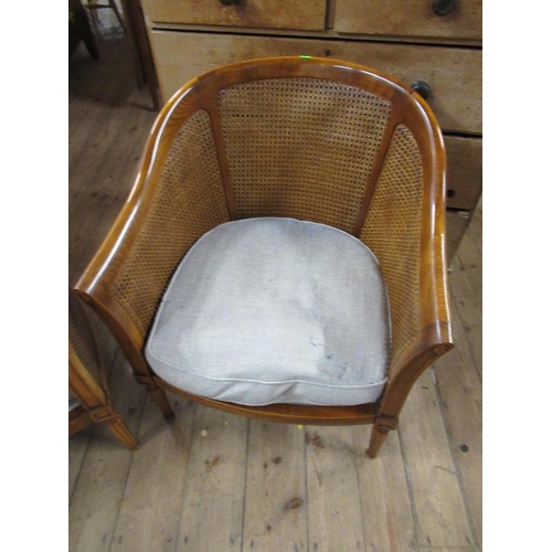 9 - A pair of Bergère tub chairs