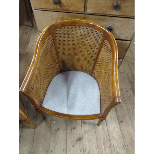 9 - A pair of Bergère tub chairs