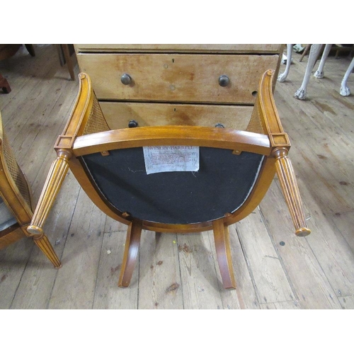 9 - A pair of Bergère tub chairs