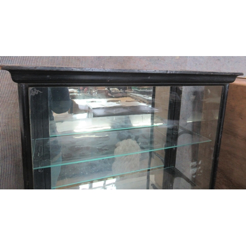 9 - An ebonised display cabinet, with mirrored back and three glass shelves, with hinged door to the bac... 