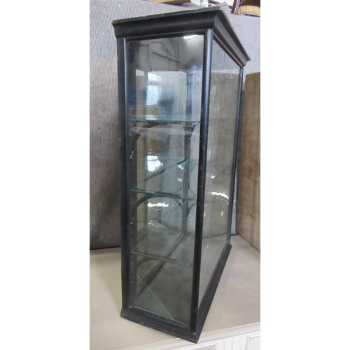 9 - An ebonised display cabinet, with mirrored back and three glass shelves, with hinged door to the bac... 