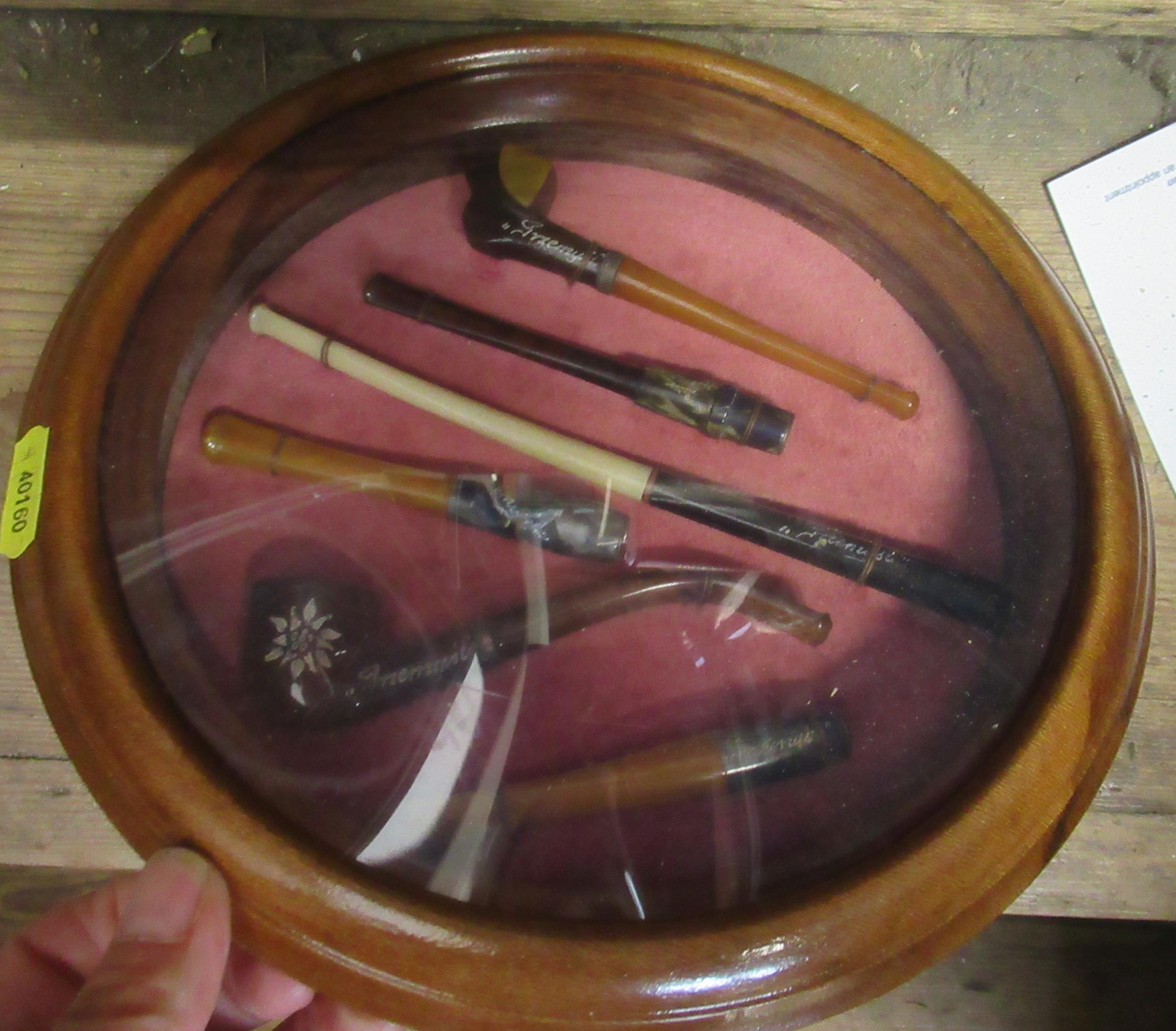 A collection of framed cheroot holders