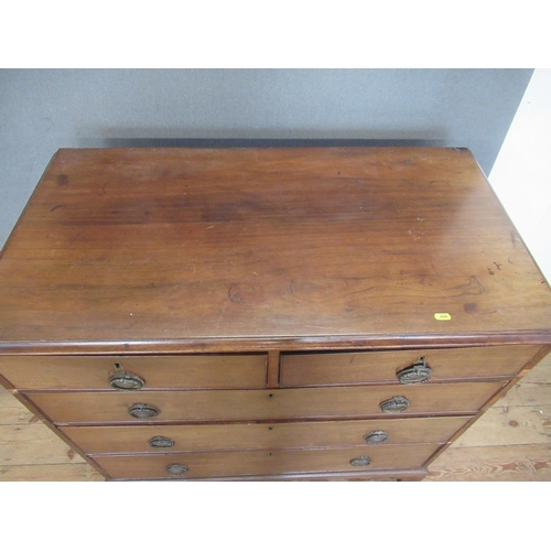 21 - A 19th century mahogany chest, of two short over three long drawers, 39.5ins x 21ins, height 36.5ins