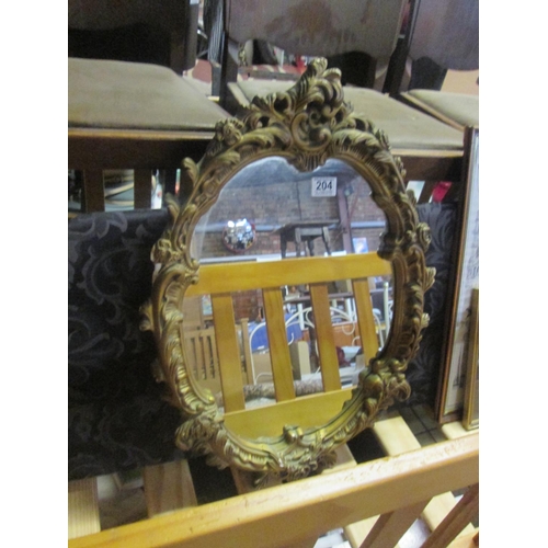 204 - Gilt frame mirror