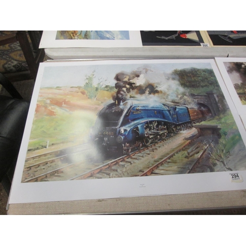 294 - Mallard print by Terrance Cuneo