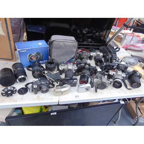 263 - LQ vintage & other cameras