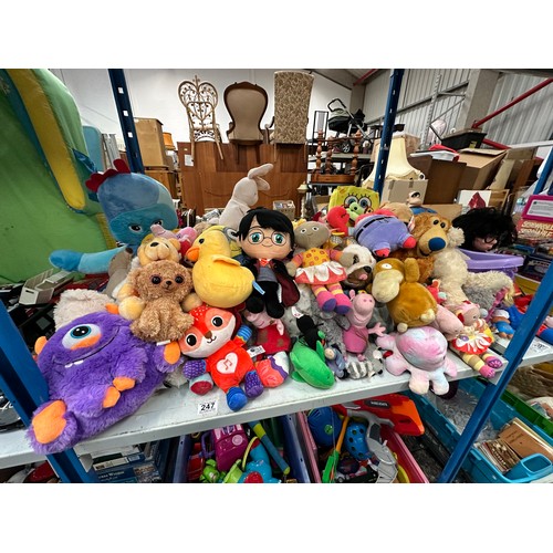 247 - LQ teddies