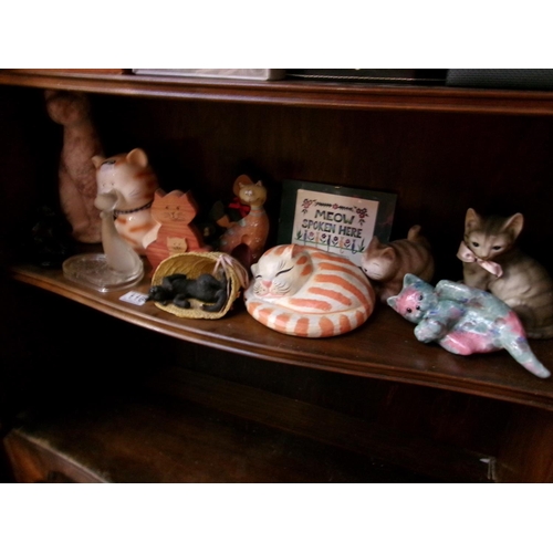 116 - Cat ornaments etc