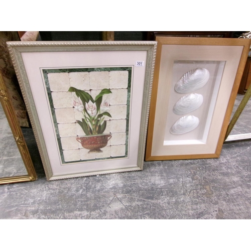 301 - Large picture & framed shells