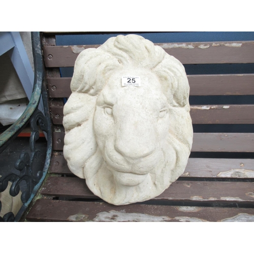 25 - NEW Lion Wall Mask.