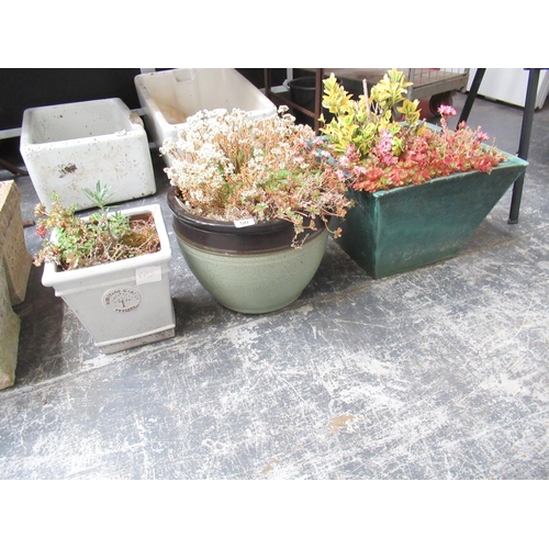 50 - 3 Potted Planters