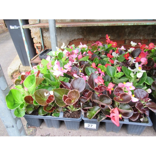 Lot 27        
