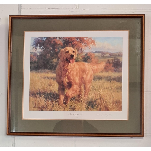 102 - 2 Framed and glazed prints, one being of a Spaniel dog, the other a landscape titled 'After the Stor... 