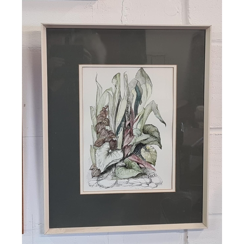 107 - 2 framed and glazed prints, one by Douglas West and the other by Susan Couther. The larger approx. 5... 