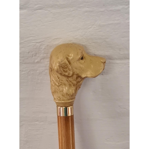 75 - Walking sick topped with Labrador style head 93cm in height