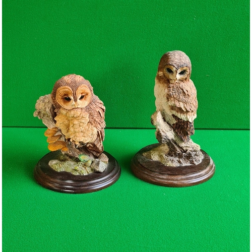 129 - Country Artist's owl figurines, the largest standing 20 cm