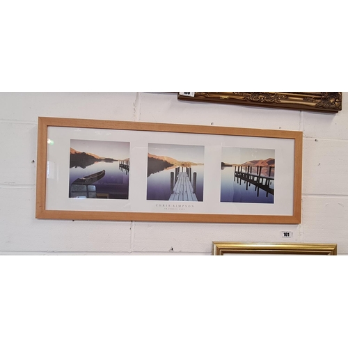 101 - 3 framed and glazed pics 35x95 and 56x47 cm respectively