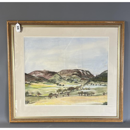 376 - John Harding-Rolls framed and glazed water colour 'Whirly' 2007 frame 74x83cm