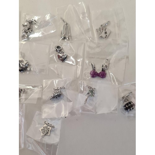 6 - Large quantity of bracelet charms in retail packaging. Shipping Group (A).