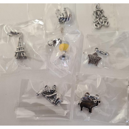 6 - Large quantity of bracelet charms in retail packaging. Shipping Group (A).