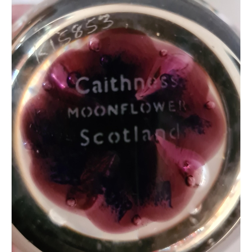 121 - Caithness paperweight together with 3 others. Collection only.