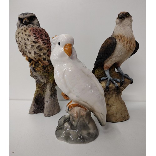 239 - (3) nicely detailed ceramic bird figures, tallest 25cm. Collection only.