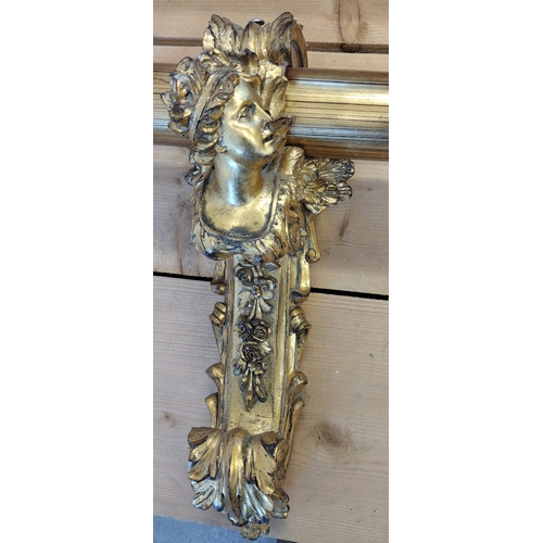 102 - Rococo style curtain pole in gilt finish with holdbacks. 270 cm in length.