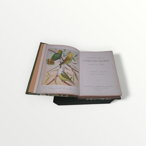 100 - Cassel's illustrated book of Canaries and Cage-Birds, British and Foreign, by Blakston, Swaysland an... 