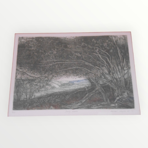 297 - Three coloured limited edition 'countryside' etchings, each signed and numbered, 35 x 49cm largest p... 