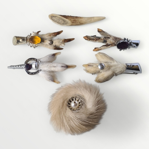 64 - Four taxidermy brooches. Shipping group (A).