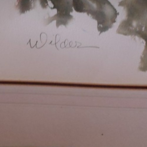 271 - Large watercolour floral study unknown artist, Halcion Gallery label en verso, indistinctly signed. ... 