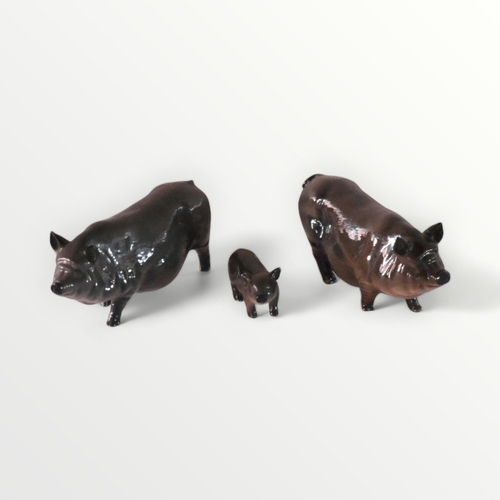 98 - Two Royal Doulton Sow's, 15cm nose to tail, and a piglet 7cm. Shipping group (A).