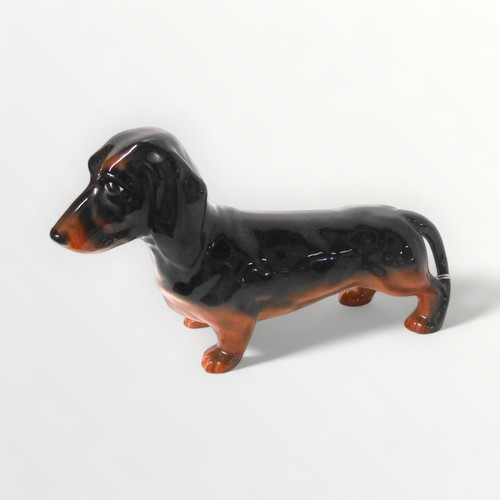 32 - Beswick model dachshund, 23cm nose to tail.Shipping group (A).