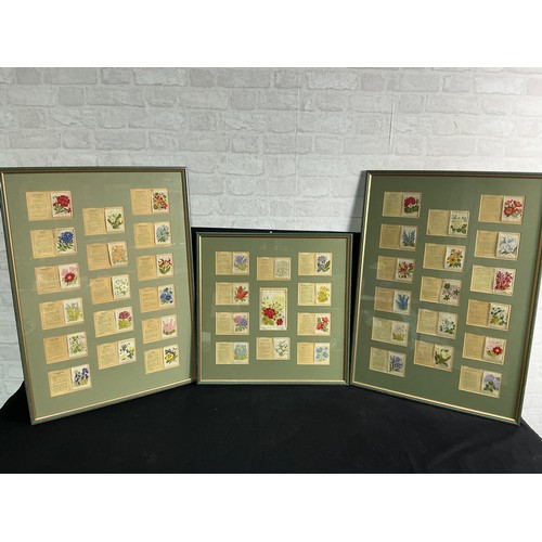 Lot 29        