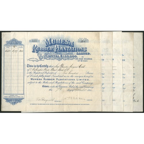 249 - German East Africa: Muhesa Rubber Plantations Limited, a group of 5 certificates for £1 shares... 