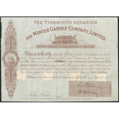 392 - Great Britain: Tynemouth Aquarium and Winter Garden Co. Ltd., £10 share, 18[77], #3624, vignette of ... 