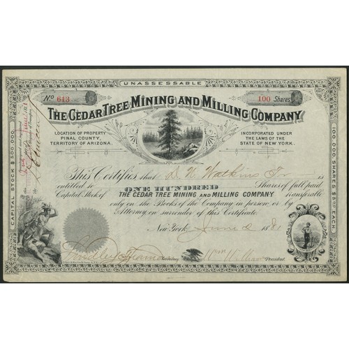 593 - U.S.A.: Cedar Tree Mining and Milling Company (NY), 100 shares of $5, New York 18[81], #613, cedar t... 