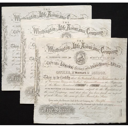 479 - Great Britain: Whittington Life Assurance Co., three certificates for 5 shares of £10, 1870, black. ... 