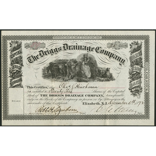 794 - U.S.A.: Driggs Drainage Company, New Jersey, $100 shares, Elizabeth, NJ 18[72], #89, agricultural sc... 