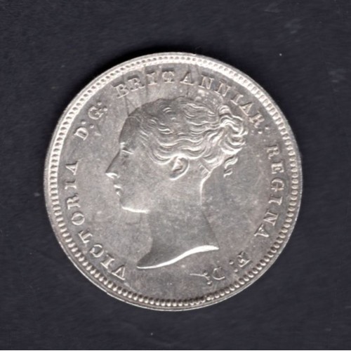 Lot 40        