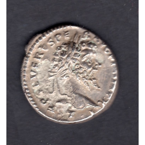 Lot 1         