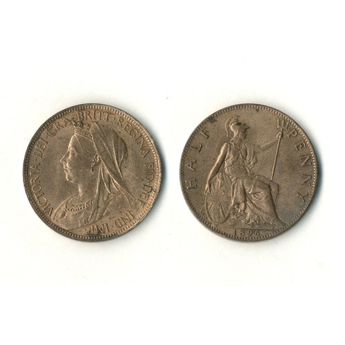Lot 56        