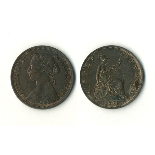 Lot 55        