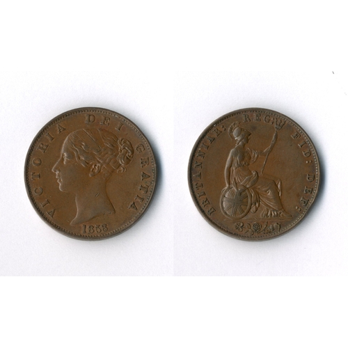 Lot 54        