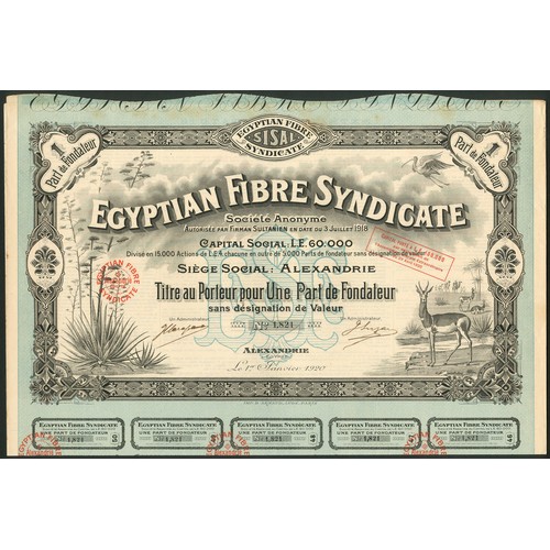 119 - Egypt: Egyptian Fibre Syndicate S.A., Founders share, 1920, #1821, attractive piece, blue and black,... 