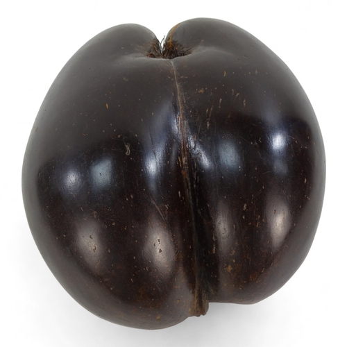 1 - An impressive Coco De Mer (Lodoicea Maldivica) nut/seed case - polished and of typical form 29 x 22c... 