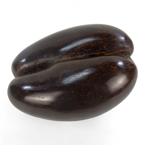 1 - An impressive Coco De Mer (Lodoicea Maldivica) nut/seed case - polished and of typical form 29 x 22c... 