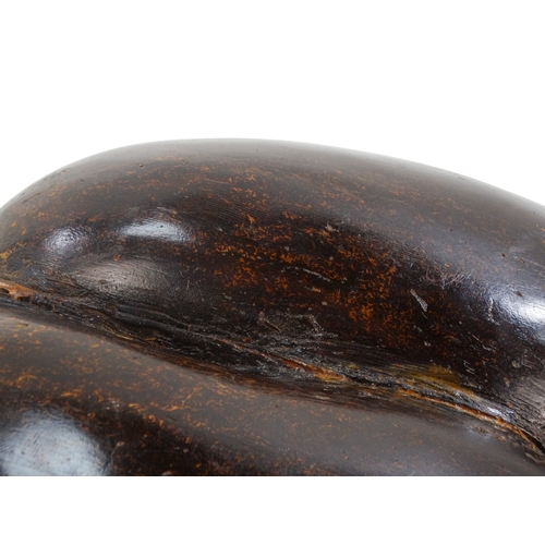 1 - An impressive Coco De Mer (Lodoicea Maldivica) nut/seed case - polished and of typical form 29 x 22c... 