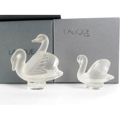 183 - A Lalique etched glass desk weight - modelled as a pair of swans, signed to base, boxed, together wi... 