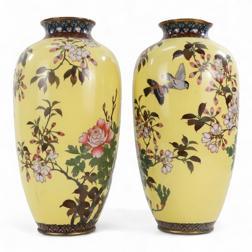 267 - A pair of Meiji period cloisonne vases - decorated with finches and exotic flowers, on a yellow grou... 